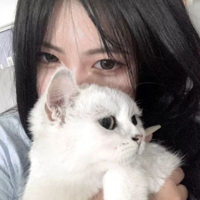 极品芝麻官hd应用宝版下载