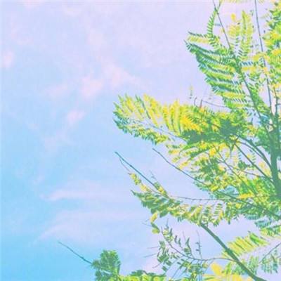 全民咔哒砰破解版下载